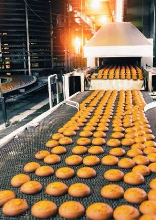 Food Processing Industry