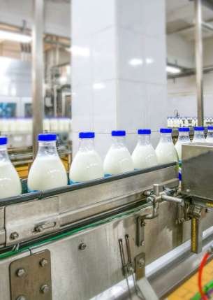 Milk Processing Industry